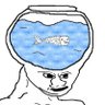 Inherently Retarded Chud 的头像