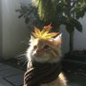 Фото профиля Daniel