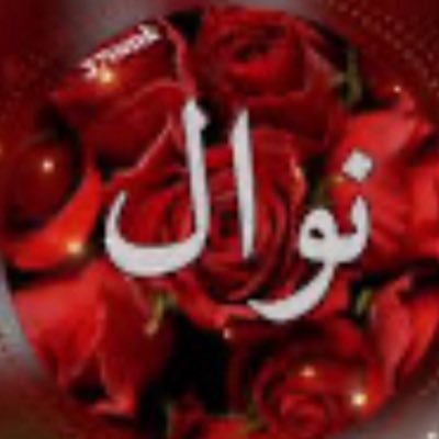 @mpcfm's profile picture