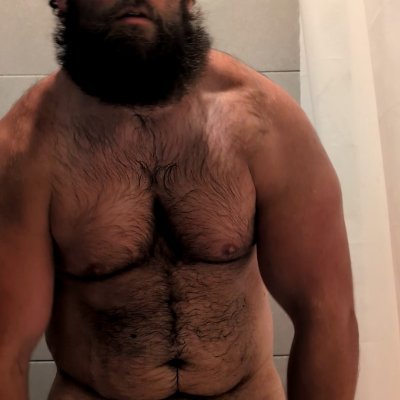Socalbear's profile picture
