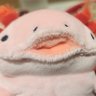 Фото профиля メジェ