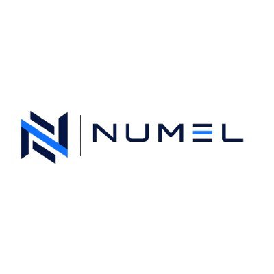Numeldata's profile picture