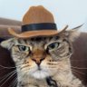 Profilbild von Khaliil