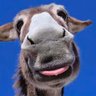 mool profil fotoğrafı