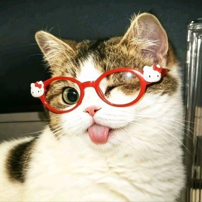 SK°•♫•♬ •😼's profile picture