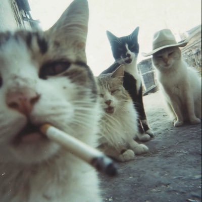 FatherKss's profile picture