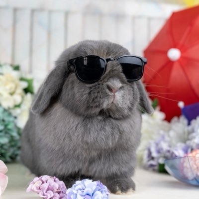 テント◆糀谷's profile picture