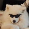 Profilbild von kris
