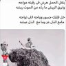 سعيد العتيبي 的头像