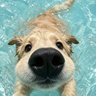 пропеллер Карлсона profil fotoğrafı