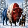 Bison 的头像