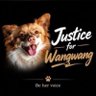 Фото профиля Anna (JUSTICE FOR WANG WANG)