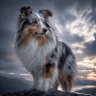 SABLE SUB🪙 profil fotoğrafı