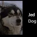 JedKingly's profile picture