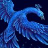 Фото профиля satoh