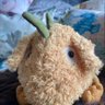 Mooswuchinger's profile picture
