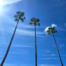 熱海のねぼすけ 的头像