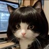 Profilbild von しお・こしょう