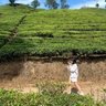 balqis ramadhani's profile picture
