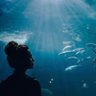 Profilbild von Aquarianess