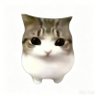 Profilbild von 竹千代小千