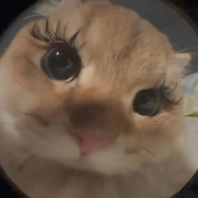 'yanmi. 🌟's profile picture
