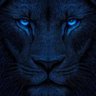 Israe lexiey's profile picture