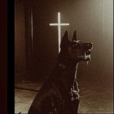 GFNQIlI's profile picture