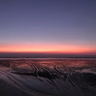f_kki80980's profile picture