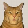 Luc Bonce's profile picture