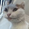 Eddy's profile picture