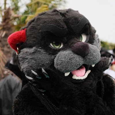 FaolanPanriel's profile picture