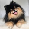 ⊙⊝⊜⁷'s profile picture