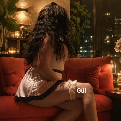 Gl_Ertan06's profile picture
