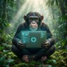 officialstrategiai profil fotoğrafı