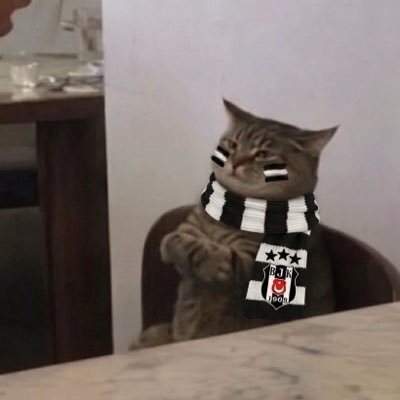 leyla's profile picture