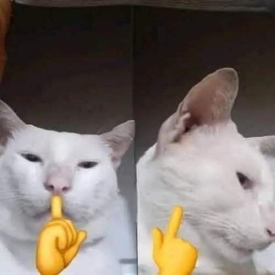 Sagara Narendra's profile picture