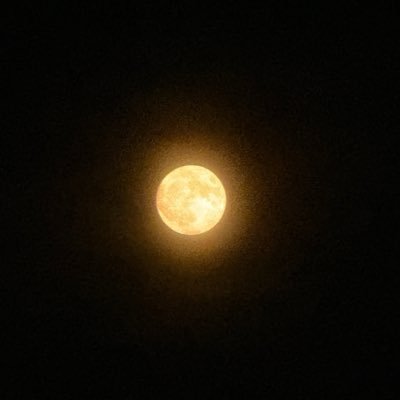 bluesky11121112's profile picture