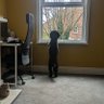 Samantha's profile picture