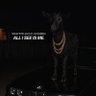 Фото профиля LIVING NOT EXISTING