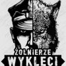 Nona 🇵🇱 #NawrockiPrezydent2025 🇵🇱's profile picture