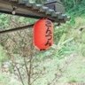 jonhshith 的头像