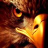 HD profil fotoğrafı