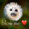 Profilbild von Glimbo