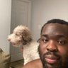 Orevaoghene's profile picture
