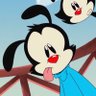 Profilbild von Burak is currently slacking off as usual