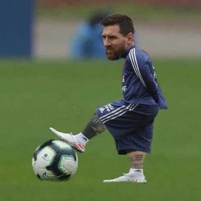 Maestro🍀's profile picture