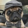 Corleone's profile picture
