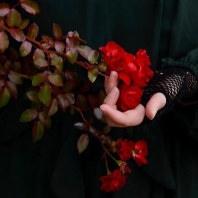 محرەم بازی چێژی خۆی هەیه💋's profile picture