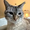 Mycantrum's profile picture